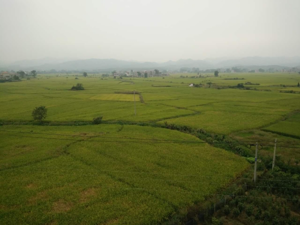 江西泰和“美麗鄉(xiāng)村”生活污水處理項目